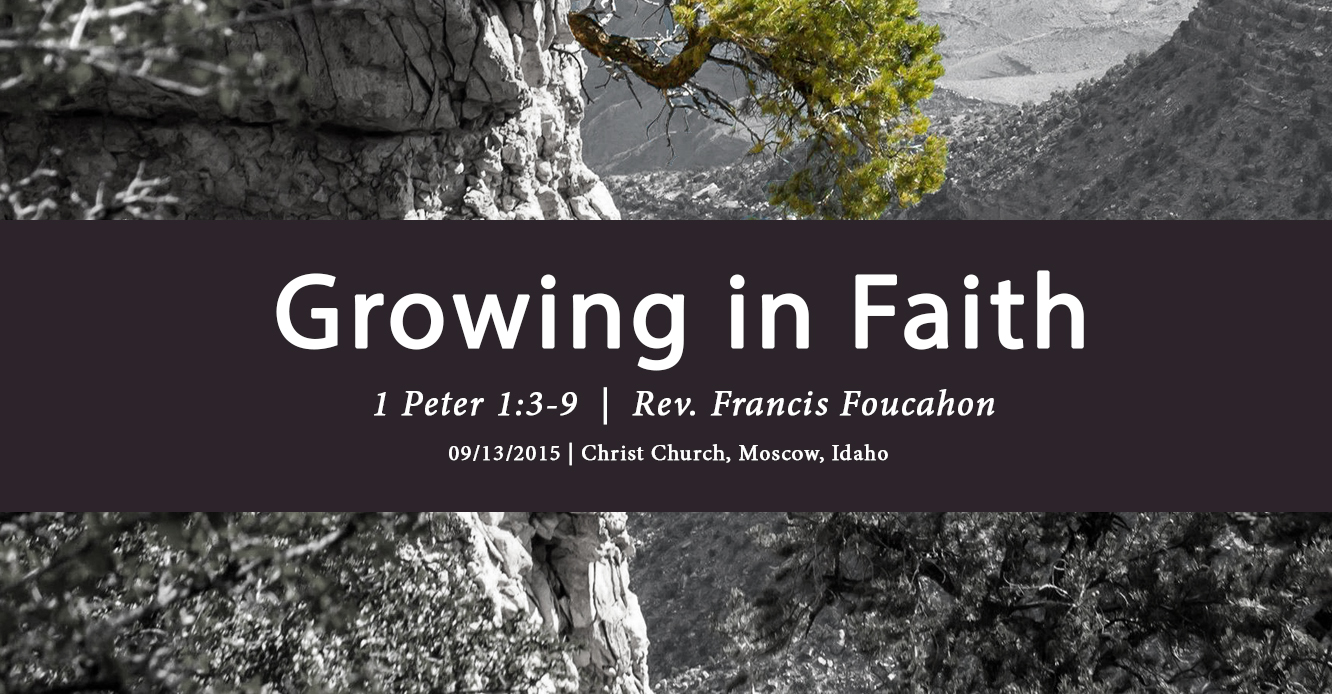 Sermon: Growing in Faith | 1 Peter 1:3-9 (Francis Foucachon)